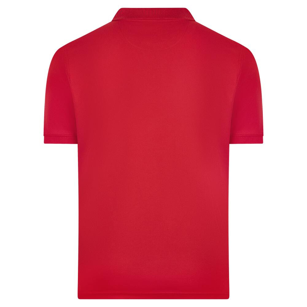 BASICS GABRIEL Poloshirt rood 7XL