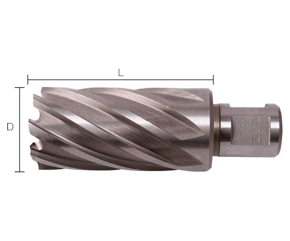 lk120300-tm-lk500500.jpg